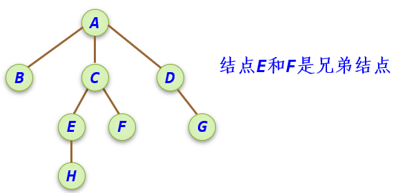  兄弟结点 