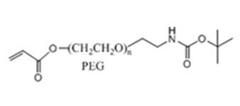 Boc-NH-PEG2000-AC，具有丙烯酸酯和Boc保护胺的线性杂双功能PEG，Acrylate-PEG2000-NH-Boc
