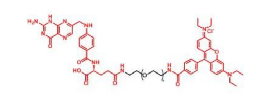 罗丹明荧光染料标记叶酸，FA-PEG2000-RB，叶酸-聚乙二醇-罗丹明； Folic acid-PEG-RB