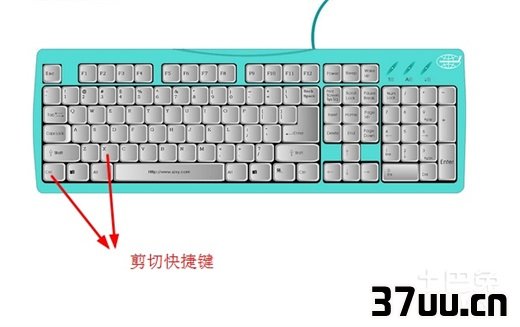 8d8fdfeddfd89180b375b816c6019aee.png
