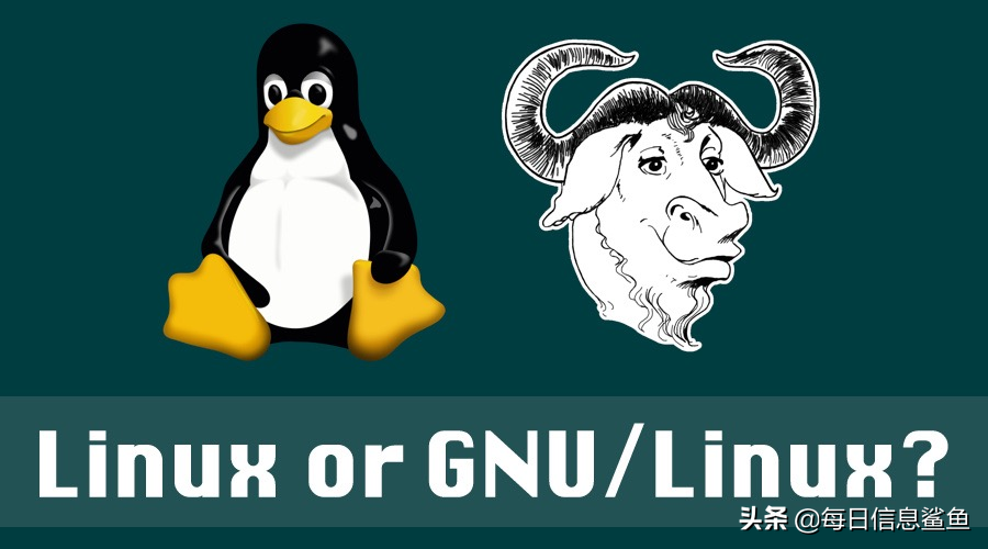 斯托曼与林纳斯的恩怨纠葛，天才往往都很固执