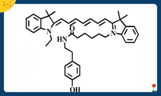 Cy7 Tyramide, Tyramide-Cy7，花青素Cy7 酪酰胺化学试剂供应