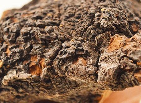 casewhen怎么取别名褐孔菌怎么吃的好