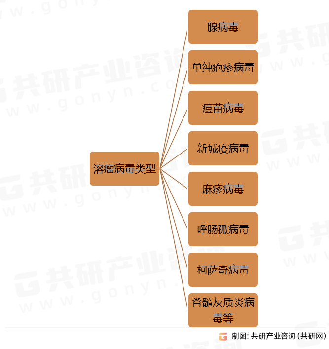 溶瘤病毒类型