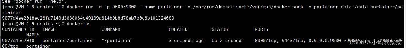 【云原生】Docker可视化工具Portainer使用详解_管理工具_10