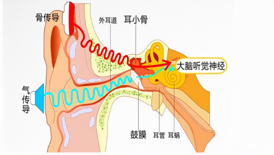 骨传导耳机工作原理是什么？骨传导耳机又有什么好处？