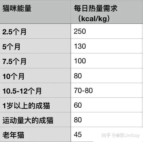 倉鼠體重年齡對照表貓咪也有標準體重這份體重年齡對照表讓你貓咪超重