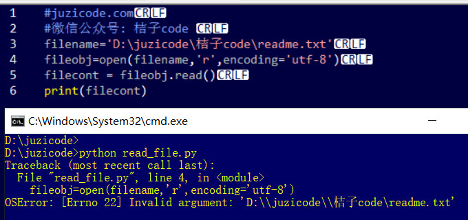Python错误集锦：打开文件路径提示参数无效，Oserror: [Errno 22] Invalid Argument:  'D:\Juzicode\桔子Code\Readme.Txt'_桔子Code的博客-Csdn博客