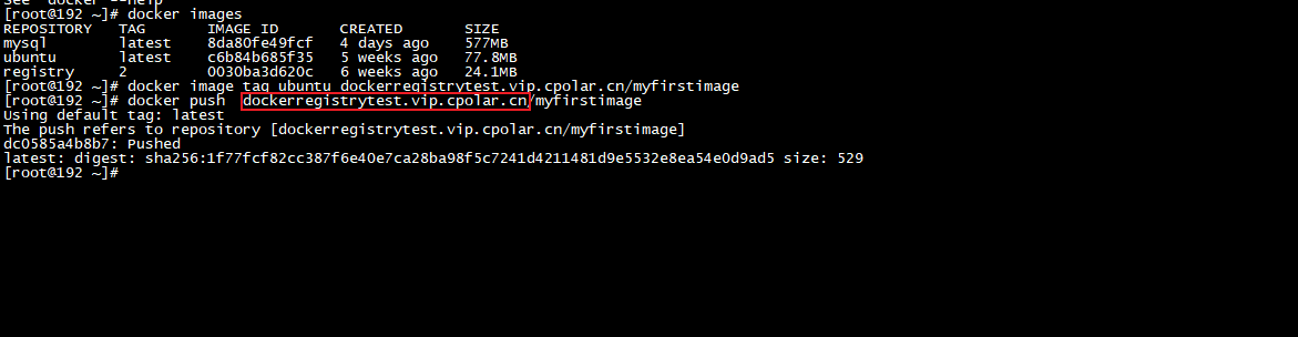 CentOS7安装内网穿透实现远程推送镜像到本地Docker Registry