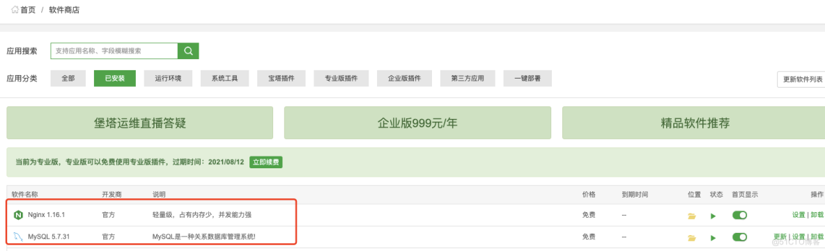 宝塔面板下Tomcat+Nginx部署JAVA WEB应用(图文)_部署JavaWeb项目_03