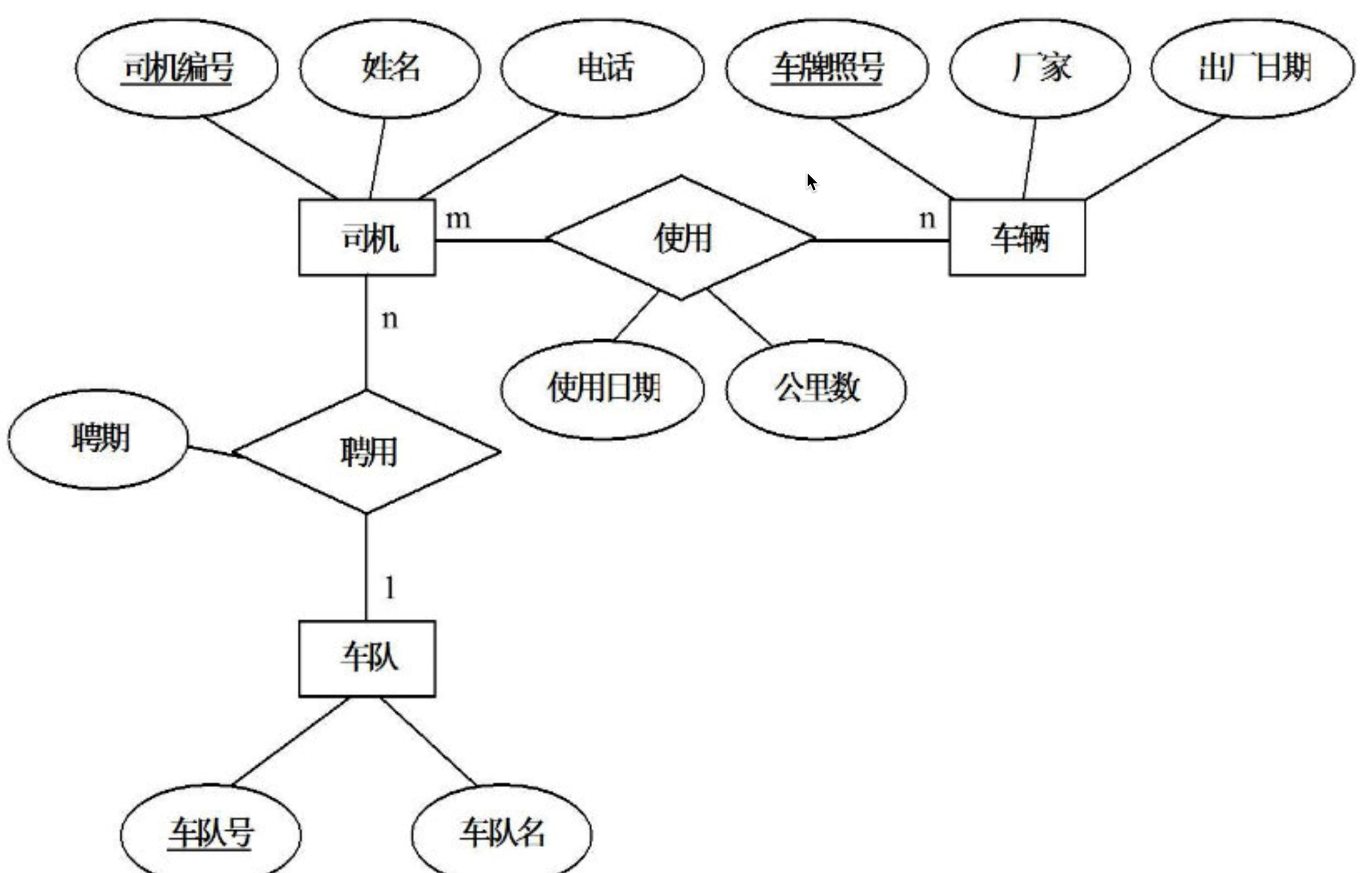 数据库应用