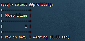 image-20230204231740283