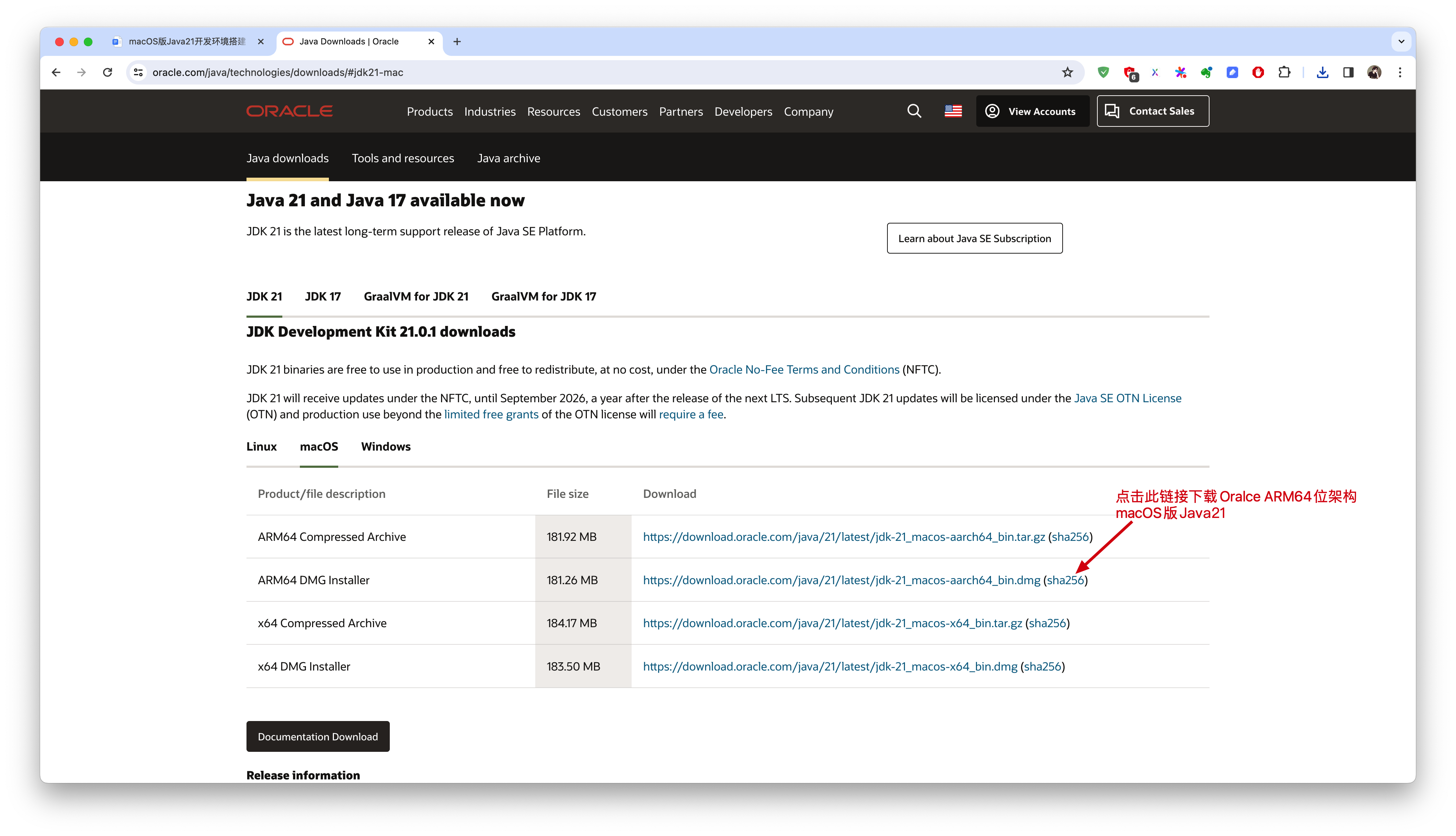 下载jdk-21_macos-aarch64_bin.dmg