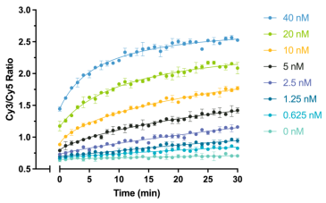 Epicypher热销产品——SMARCA2 Chromatin Remodeling Enzyme (Human BRM)