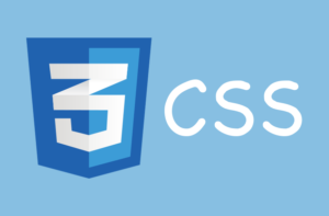 css-300x197