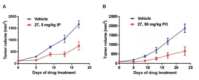 RORγ 反向激动剂-XY101 小分子化合物