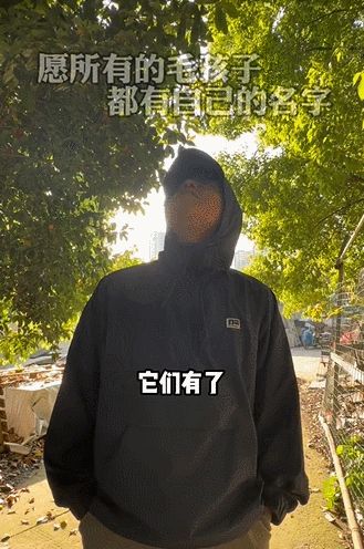 单篇笔记涨粉8w，10秒视频播放超1000w，小红书最近在流行什么？