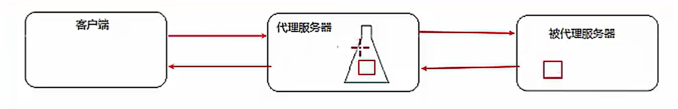 Nginx08-反向代理