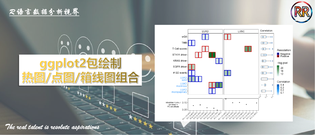 跟着Nature学分析：R语言ggplot2包绘制高端组合图