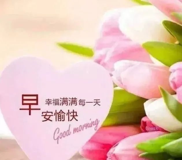 最新emoji表情代码大全_2020最新版早上好问候图片大全 表情