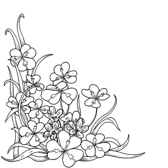 线条边框简笔画图片大全各种简笔画边框大全边框简单又漂亮简笔画