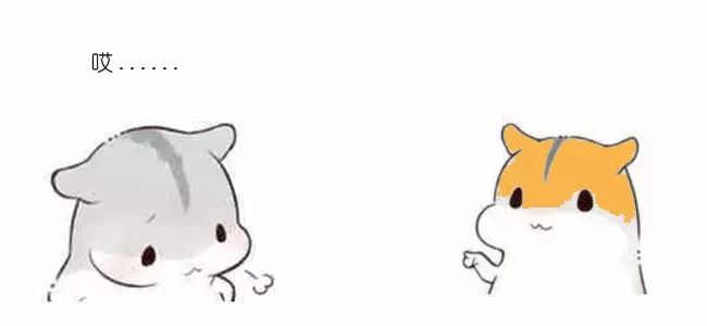 900458f048b7338d4711c1e09fc5b452.png