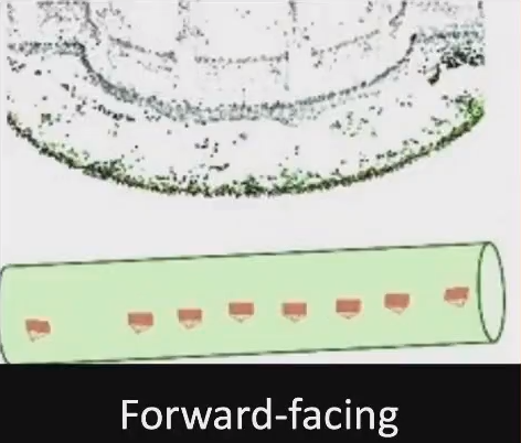 图1.forward facing