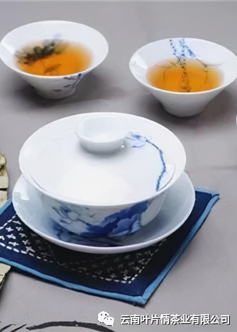 普洱茶知识大全