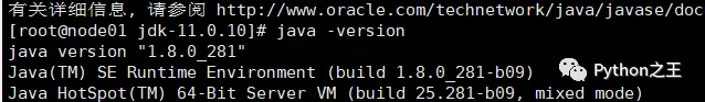 使用两台Centos7系统搭建Hadoop-3.1.4完全分布式集群