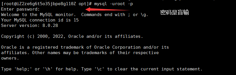 image-20220415210727650