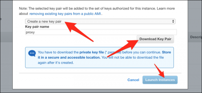  Click "Create a New Key Pair," and then click "Download Key Pair." After it downloads, click "Launch Instances."