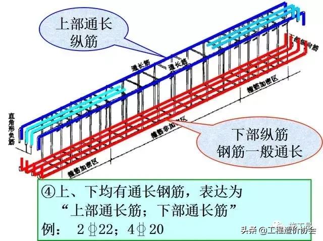 若矩形截面梁的高度和宽度_梁钢筋平法识图入门基础,一看就明白!
