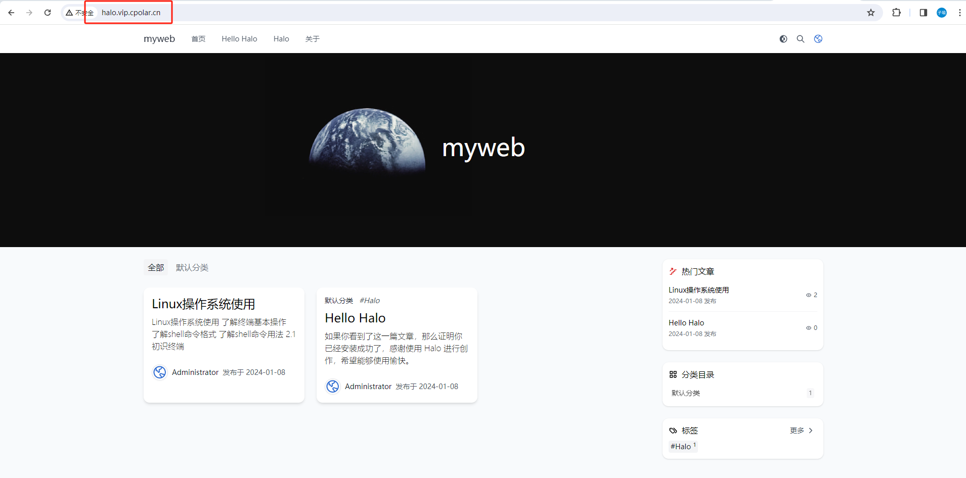 内网穿透的应用-使用Docker部署开源建站工具—Halo,并实现个人博客公网访问