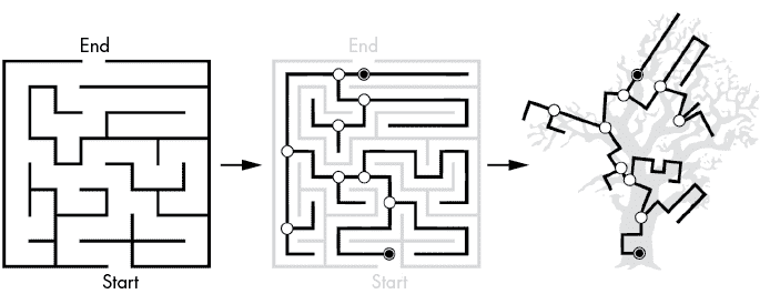 三幅图像：第一幅是一个经典的迷宫，有分叉路径，第二幅显示了迷宫中每条路径的线条，并在每个分叉处有一个圆圈，第三幅是这条线和圆圈的图案扭曲成树枝的样子。