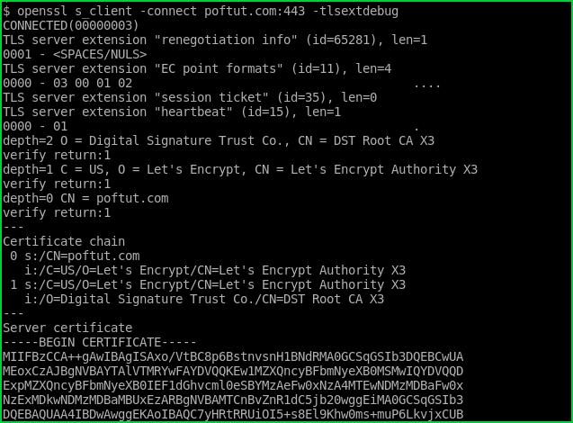 Debug SSL/TLS To The HTTPS