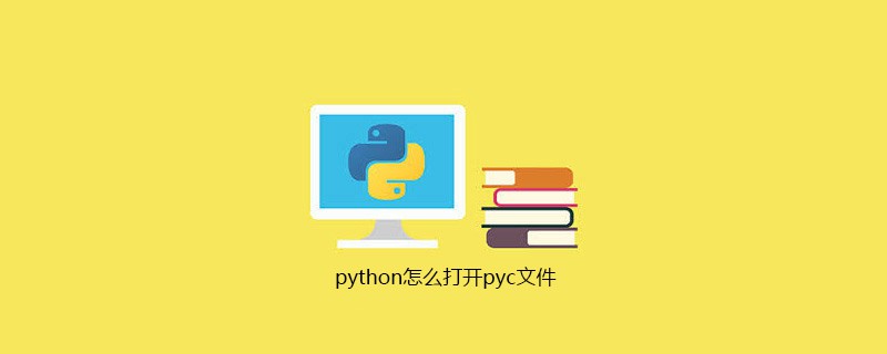 ultraedit python