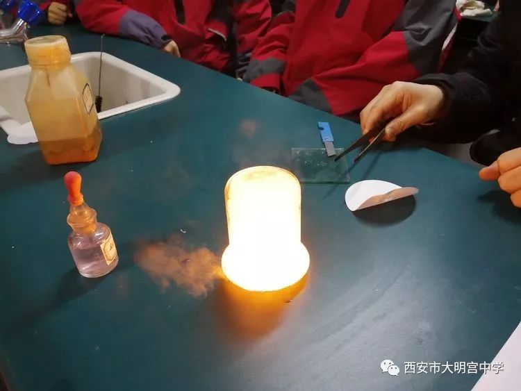 学科实践活动感悟50字_展现化学学科魅力,弘扬学生创新精神——西安市