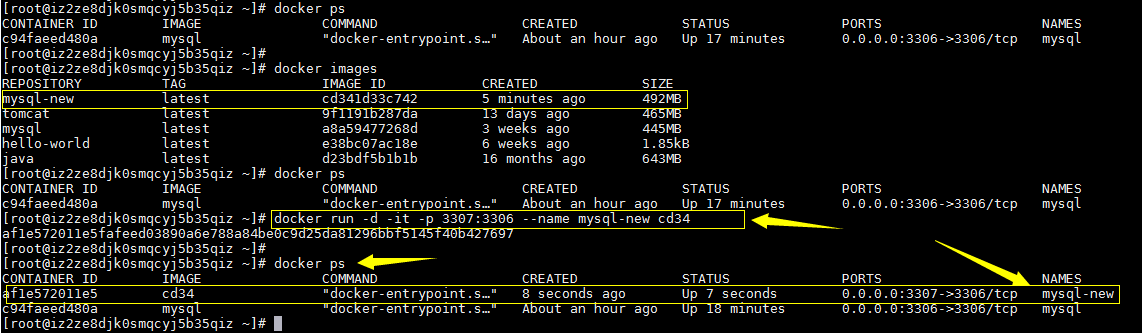 在Docker中安装Mysql