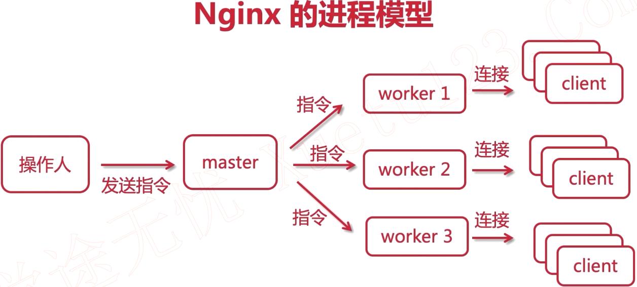 nginx