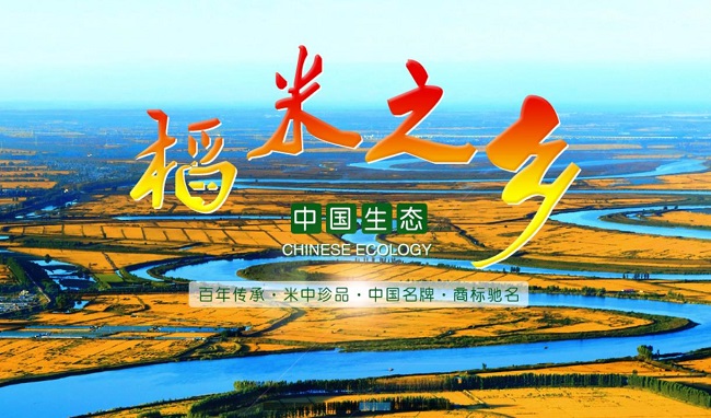 功能性农业国稻种芯盘锦现代农业产业园耕种模式变革