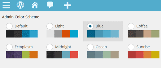 Setting a default color scheme for new users in WordPress