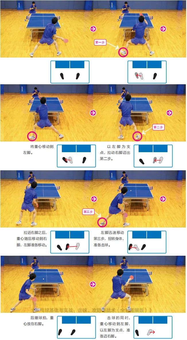 rsatool使用步骤图解乒乓球步法移动入门图解腿部肌肉力量锻炼方法国