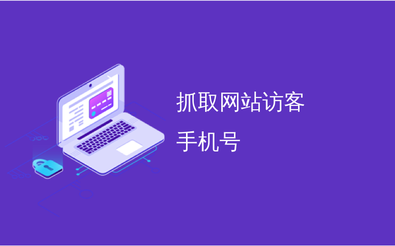 抓取网站访客手机号