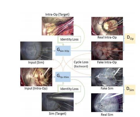 文献速递：生成对抗网络医学影像中的应用——基于CycleGAN的图像到图像转换，用于逼真的外科手术训练模型