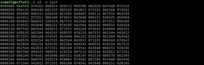 Display File Octal 2 Byte Units