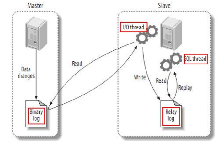 使用Docker构建的MySQL主从架构：高可用性数据库解决方案