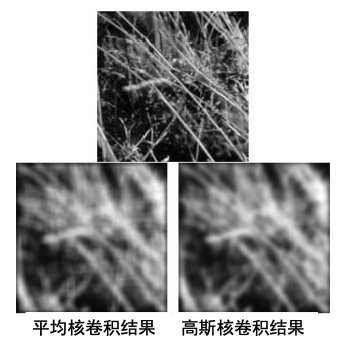 image-20210919033151354