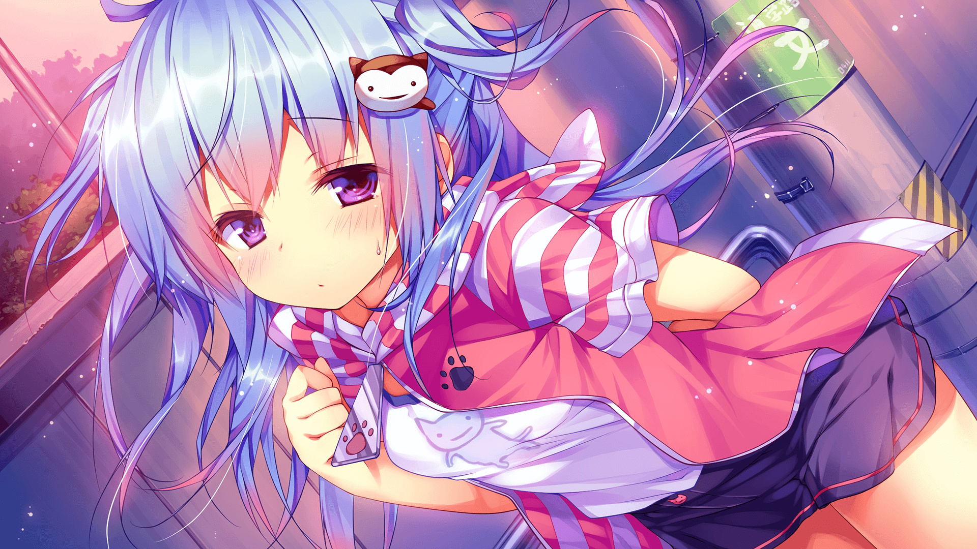 什么叫做白板少女 92a14776d9b4c596c304cf05574ed684.png