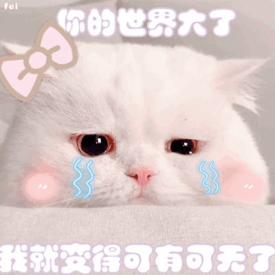 【2022第十三届蓝桥杯】c/c++ 大学c组 解题报告